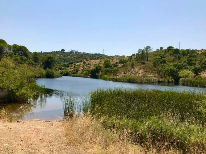Discover São Brás de Alportel