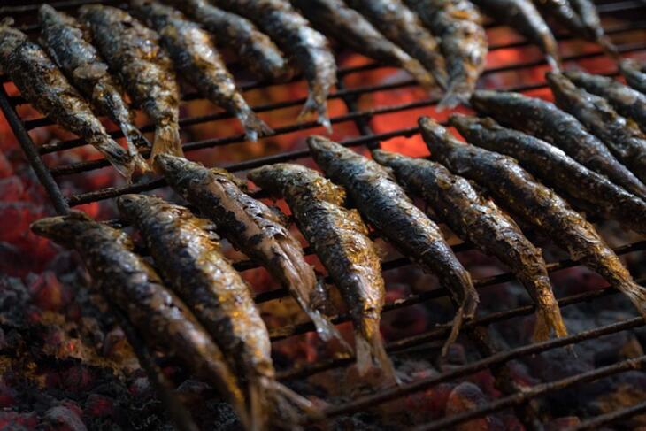Descubra o Festival da Sardinha em Portimão 2025