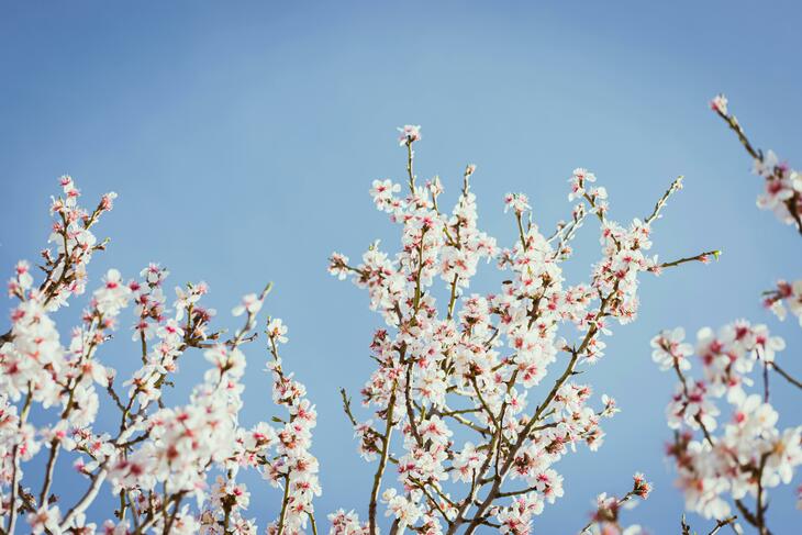 Winter in the Algarve the Lifestyle That Attracts Relocation Buyers