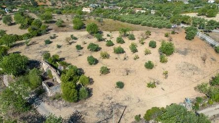 4 Bedroom Land For Sale in Santa Catarina da Fonte do Bispo
