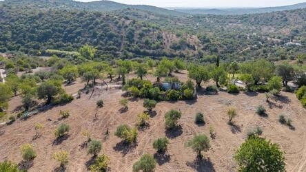 4 Bedroom Land For Sale in Santa Catarina da Fonte do Bispo