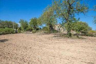 4 Bedroom Land For Sale in Santa Catarina da Fonte do Bispo