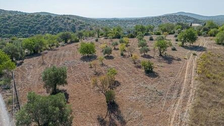 4 Bedroom Land For Sale in Santa Catarina da Fonte do Bispo