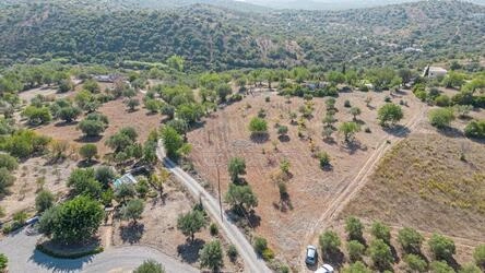 4 Bedroom Land For Sale in Santa Catarina da Fonte do Bispo