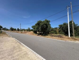 Land For Sale in Salir