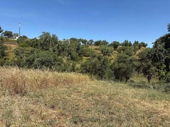 Land For Sale in Salir