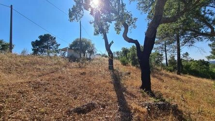 Land For Sale in São Brás de Alportel