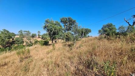 Land For Sale in São Brás de Alportel