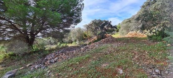 Urban land For Sale in São Brás de Alportel