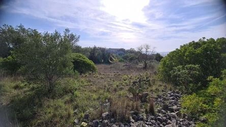Urban land For Sale in São Brás de Alportel