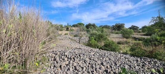 Urban land For Sale in São Brás de Alportel