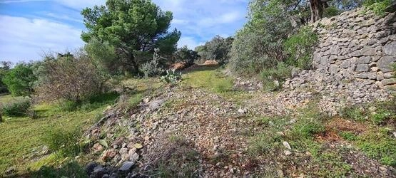 Urban land For Sale in São Brás de Alportel