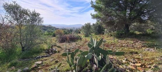 Urban land For Sale in São Brás de Alportel