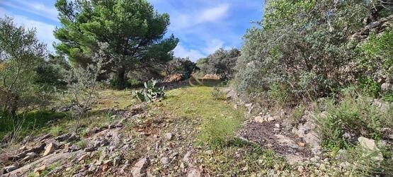 Urban land For Sale in São Brás de Alportel