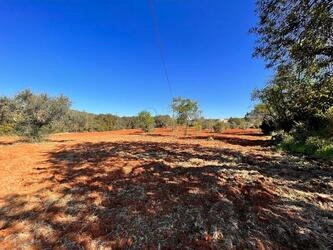Rural land For Sale in São Brás de Alportel