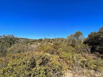 Rural land For Sale in São Brás de Alportel