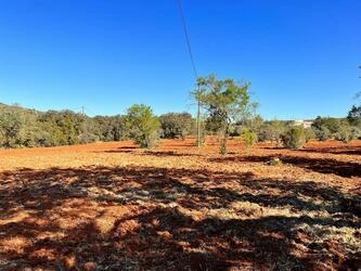 Rural land For Sale in São Brás de Alportel