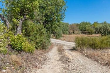 Land avec 4 chambres à vendre à Santa Catarina da Fonte do B