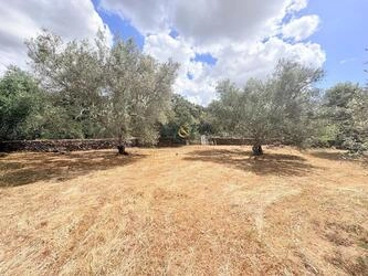 Country house à vendre à São Brás de Alportel