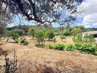 Country house à vendre à São Brás de Alportel