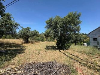 Land à vendre à Salir