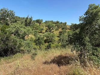 Land à vendre à Salir