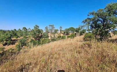 Land à vendre à São Brás de Alportel