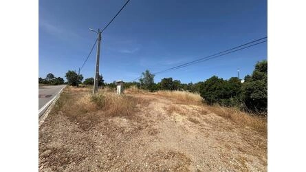 Land à vendre à Salir