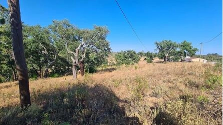 Land à vendre à São Brás de Alportel