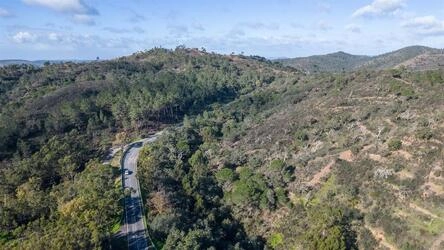 Land à vendre à São Brás de Alportel