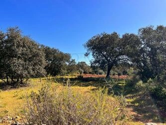 Rural land à vendre à São Brás de Alportel
