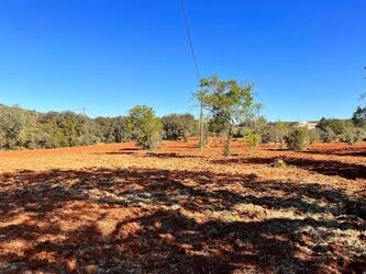 Rural land à vendre à São Brás de Alportel