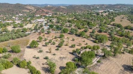 Land com 4 quartos à venda em Santa Catarina da Fonte do Bis