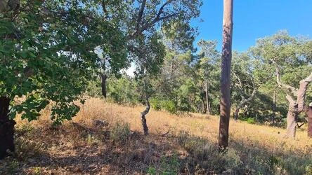 Land à venda em São Brás de Alportel