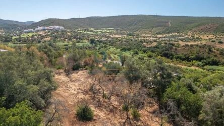 Land à venda em Querença