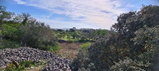 Urban land à venda em São Brás de Alportel