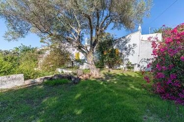 Villa to be renovated à venda em Loulé (São Clemente)