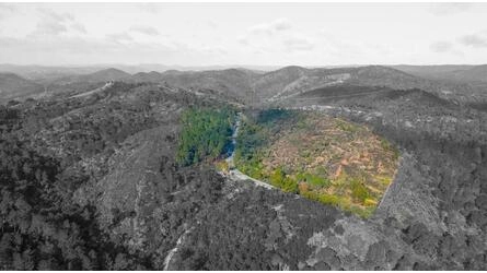 Land à venda em São Brás de Alportel