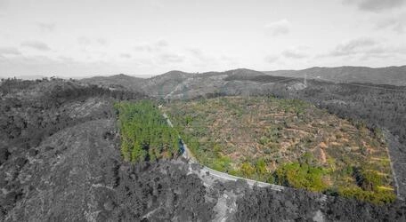 Land à venda em São Brás de Alportel