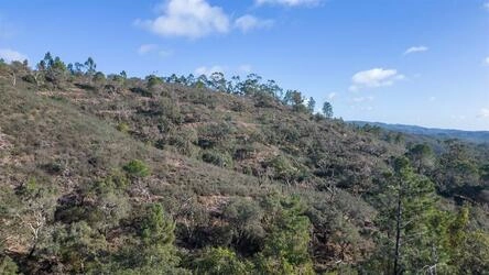 Land à venda em São Brás de Alportel