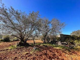 Ruin à venda em São Brás de Alportel