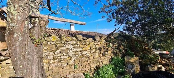 5 Bedroom Farmhouse For Sale in Salir