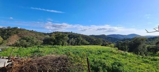 5 Bedroom Farmhouse For Sale in Salir