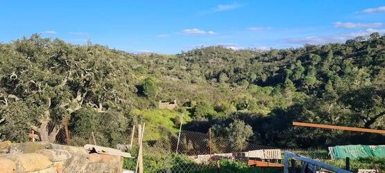 5 Bedroom Farmhouse For Sale in Salir