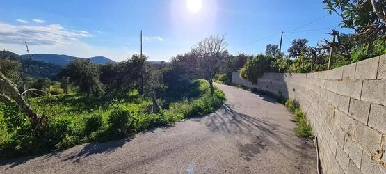 Farmhouse avec 5 chambres à vendre à Salir