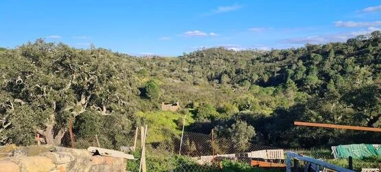 Farmhouse avec 5 chambres à vendre à Salir