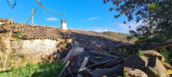 Farmhouse com 5 quartos à venda em Salir