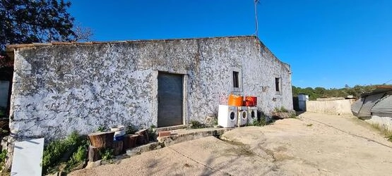 Farmhouse com 5 quartos à venda em Salir