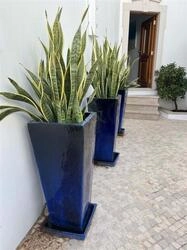 7 Bedroom Building For Sale in Boliqueime