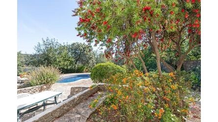 Farmhouse avec 4 chambres à vendre à São Brás de Alportel